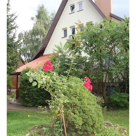 Apartament Lesny Supraśl Exteriör bild