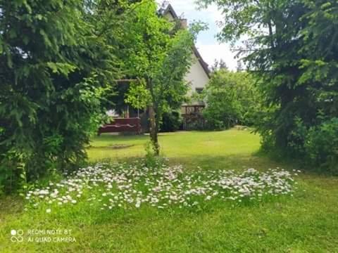 Apartament Lesny Supraśl Exteriör bild