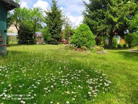Apartament Lesny Supraśl Exteriör bild